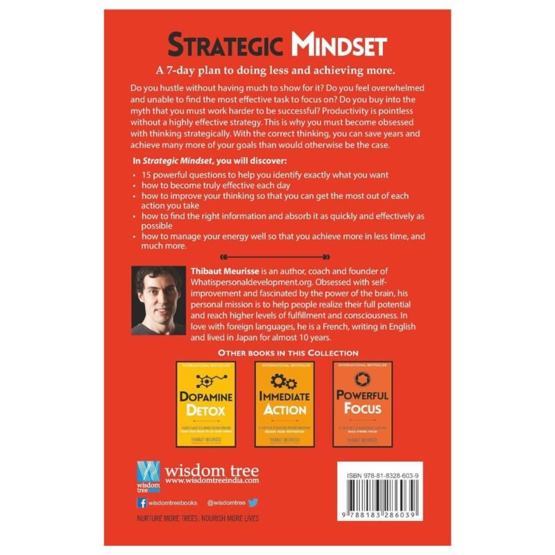 Strategic Mindset by Thibaut Meurisse - Image 2